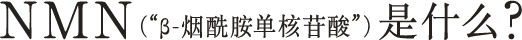 NMN（“β-烟酰胺单核苷酸”）是什么?