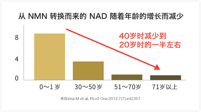 从 NMN 转换而来的 NAD 随着年龄的增长而减少