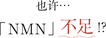 也许···「NMN」不足！？