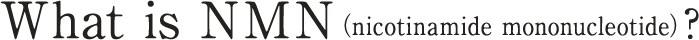 What is NMN (nicotinamide mononucleotide)?