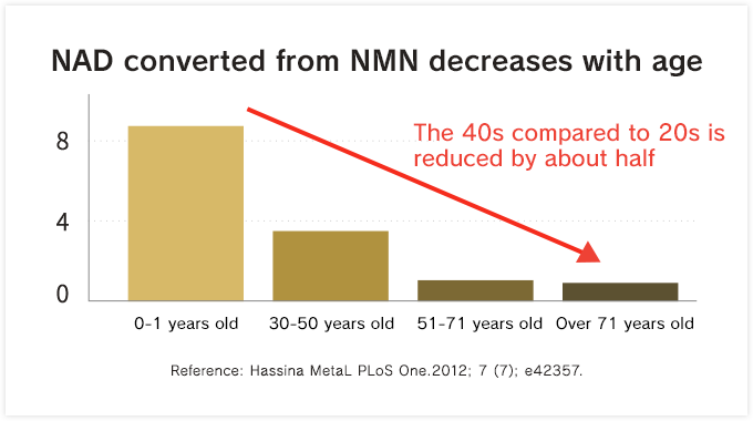 NAD converted from NMN decreases with age
