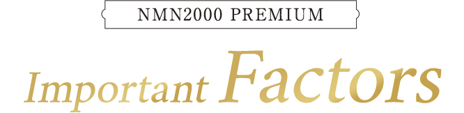 NMN20000PREMIUM 3 Important Factors